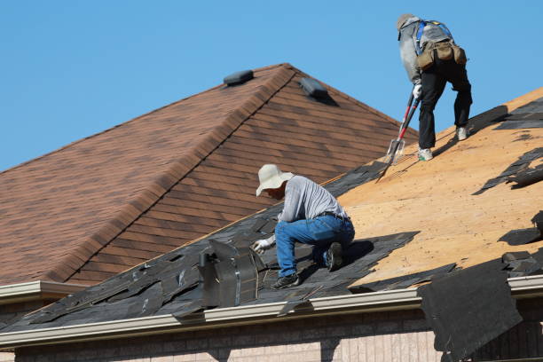 Best Metal Roofing Installation  in National City, CA